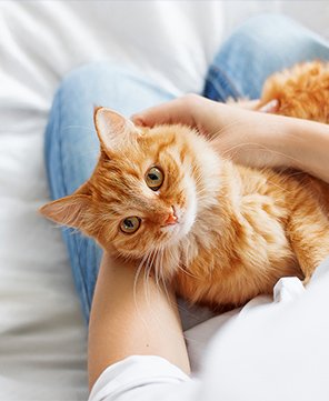 リード_06 イメージ1