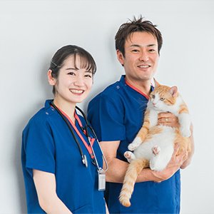 リード_06 イメージ2