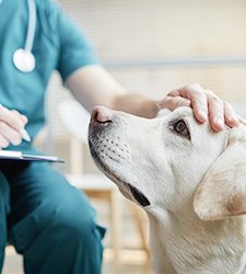 リード_06 イメージ3