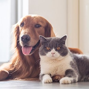 リード_06 イメージ2