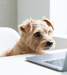 リード_06 イメージ3