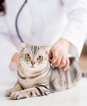 リード_06 イメージ1