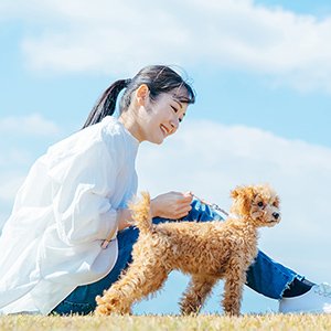 リード_06 イメージ2