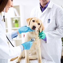 トピックス_06 イメージ1