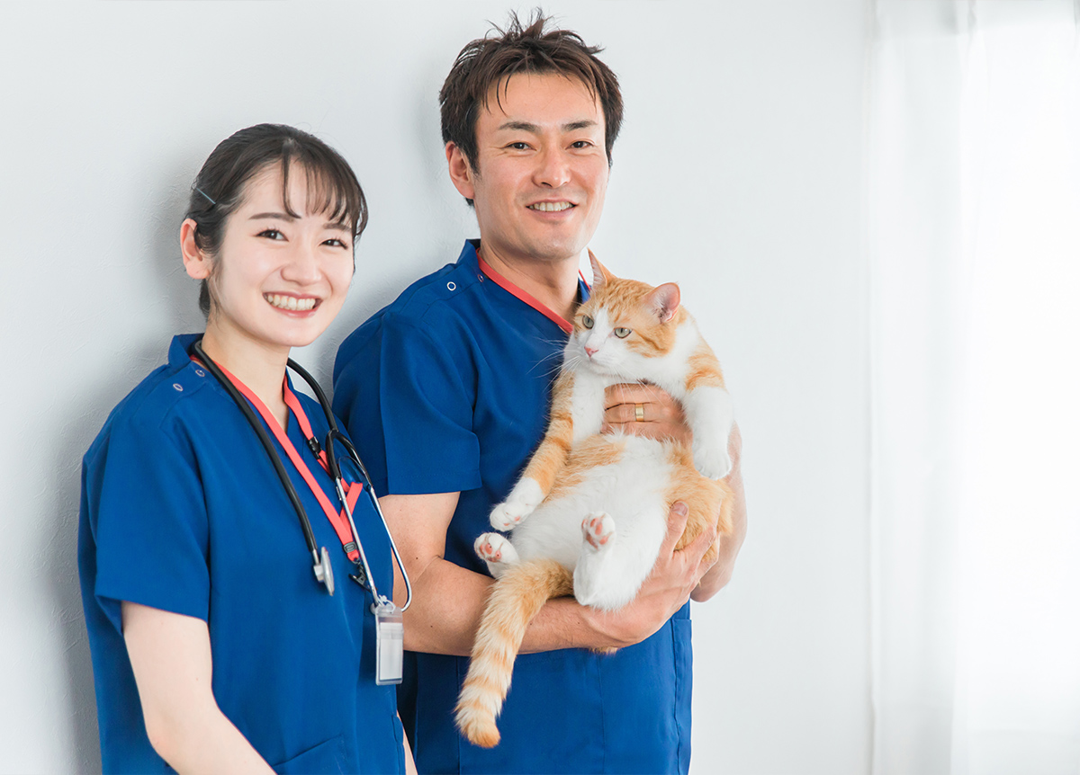 リード_06 イメージ1