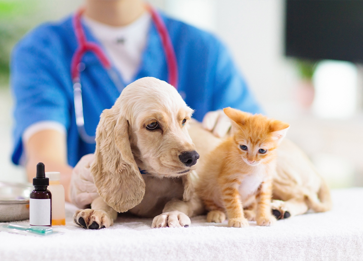 リード_06 イメージ1