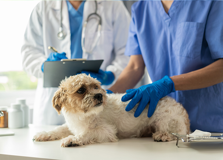 カラム_04 イメージ1