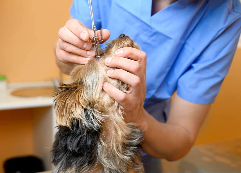 カラム_04 イメージ1